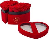 Rosuz Flowerbox longlife Scarlet rood