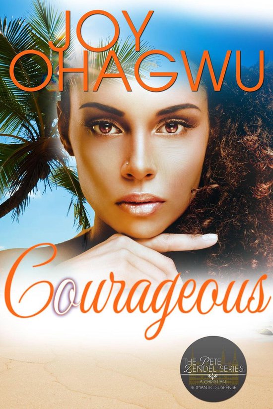 The New Rulebook & Pete Zendel Christian Suspense Series 14  ... - cover