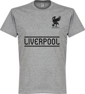 Liverpool Team T-Shirt - Grijs - S