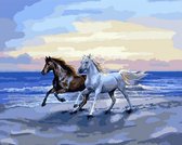 2.0 Products - Dieren - Schilderen op nummer volwassenen - Paint by number - 40 x 50 CM - Paarden - Strand