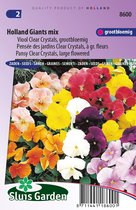 Sluis Garden - Viool Hollandse Reuzen Mix (Viola)