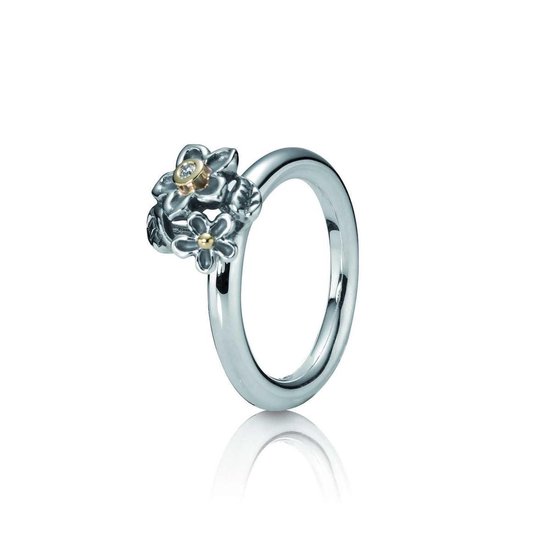 heerlijkheid radicaal Verscheidenheid Pandora ring zilver-goud Diamond Flower | bol.com