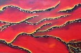 Olieverf schilderij "Red and Gold"