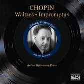 Waltzes / Impromptus