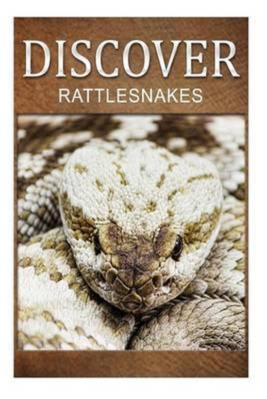 Rattle Snakes - Discover - cover