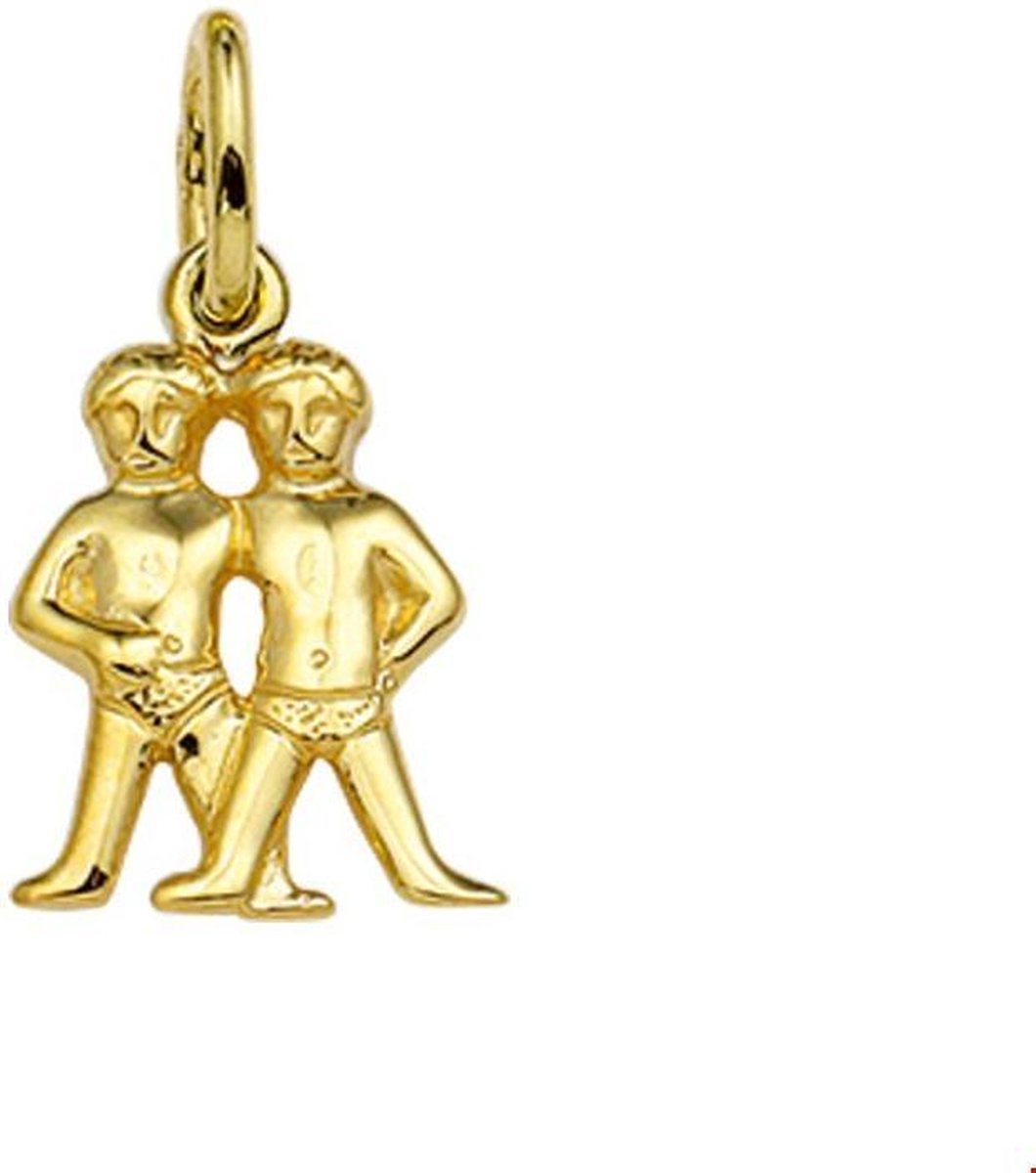 Geelgouden Bedel sterrenbeeld tweeling 4006462