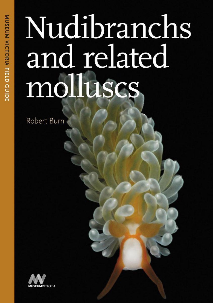 Omslag van Nudibranchs and Related Molluscs