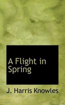 A Flight in Spring