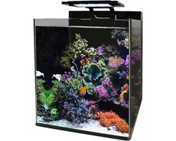 Blue Marine  REEF 60 AQUARIUM
