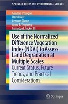 Use of the Normalized Difference Vegetation Index (NDVI) to Assess Land Degradation at Multiple Scales