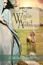 The Walls of Arad