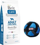 Brit care hypo-allergeen adult large breed lam/rijst 12kg + gratis kong speelbal