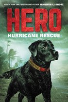 Hero 2 - Hero: Hurricane Rescue