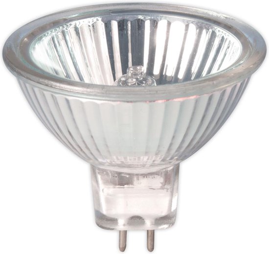 Luidspreker Inefficiënt Landgoed Halogeenlamp -12 volt 35W 51mm 595lm - (5 stuks) | bol.com