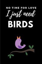 No Time for Love I Just Need Birds