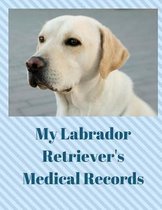 My Labrador Retriever's Medical Records