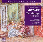 Various Artists - Opera Explained: The Marriage Of Fi (CD)