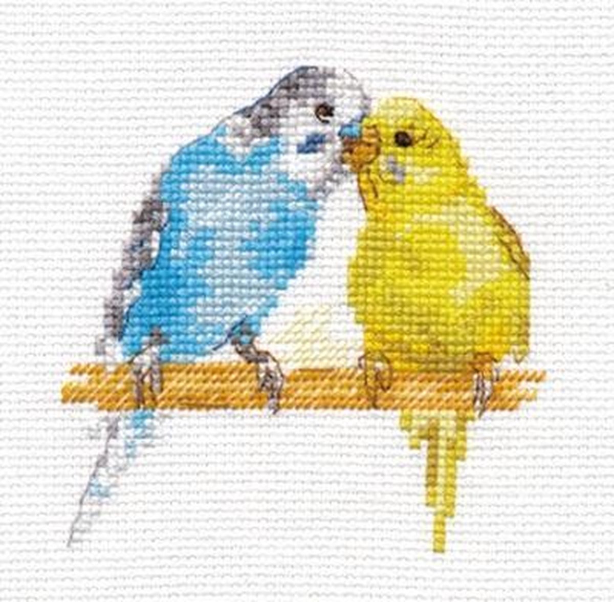 Parkietjes borduren (pakket)