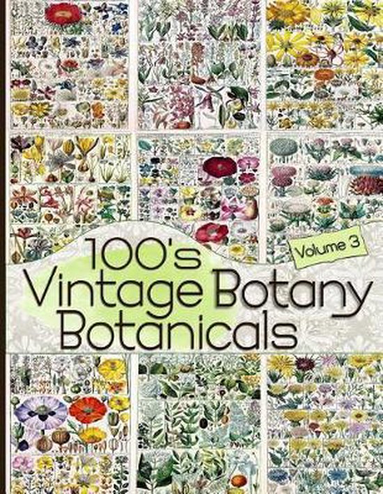 Floral Ephemera- 100's Vintage Botany Botanicals Volume 3