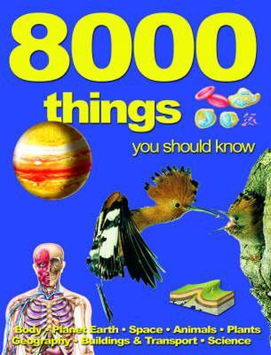 Belinda Gallaher - 8000 Things You Should Know