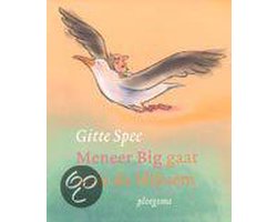 Omslag van Meneer Big Gaat Naar De Bliksem