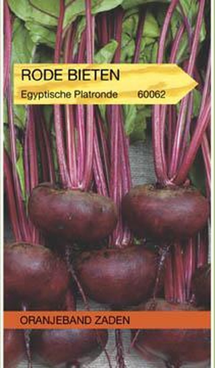 Rode Biet Egyptische Platronde Groentezaad
