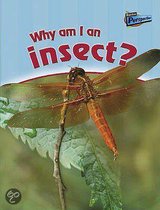 Why am I an Insect?