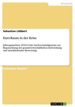 Euro-Raum in der Krise