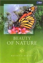 Nature's Beauty - Beauty Of Nature