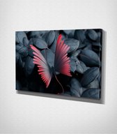 Butterfly Canvas | 80x120 cm