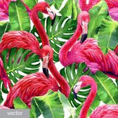 DP® Diamond Painting pakket volwassenen - Afbeelding: Pentekening Flamingos - 60 x 60 cm volledige bedekking, vierkante steentjes - 100% Nederlandse productie! - Cat.: Dieren - Vogels