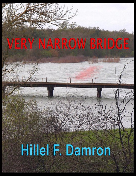 Omslag van Very Narrow Bridge