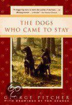 The Dogs Who Came to Stay