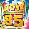 Now That's What I Call Music! 85 [UK]