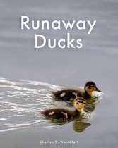 Runaway Ducks