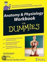 Anatomy And Physiology Workbook For Dummies