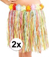 2x stuks Hawaii rokjes gekleurd 45 cm voor dames