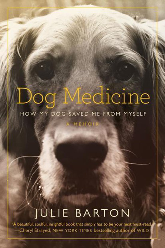 Dog Medicine - cover
