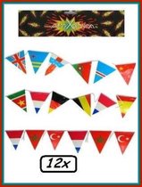 12x Vlaggenlijn internationaal - landen vlaglijn vlag carnaval EK WK sport en spel thema feest party europa wereld