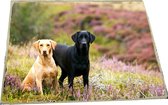 Labradors plaid woondeken thema dieren cadeaus labrador hond kado