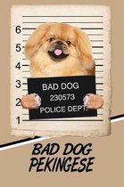 Bad Dog Pekingese