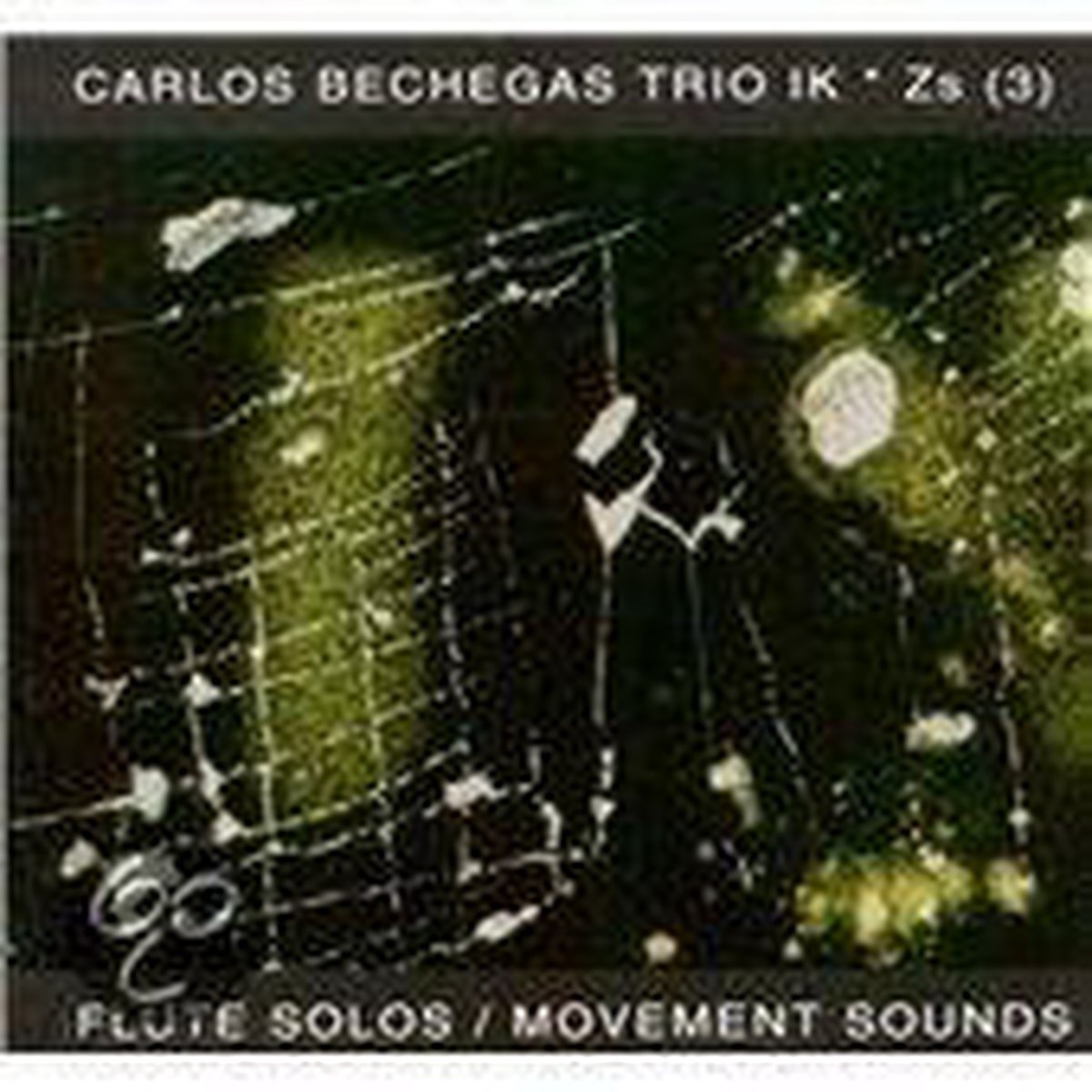 Flute Solos/Movement Soun