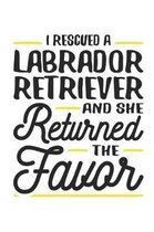 I Rescued a Labrador Retriever and She Returned the Favor