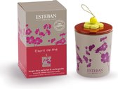 Esteban Classic Esprit de The Geurkaars Deco - 170 gr