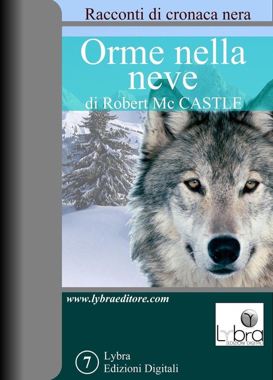 Orme nella neve - cover