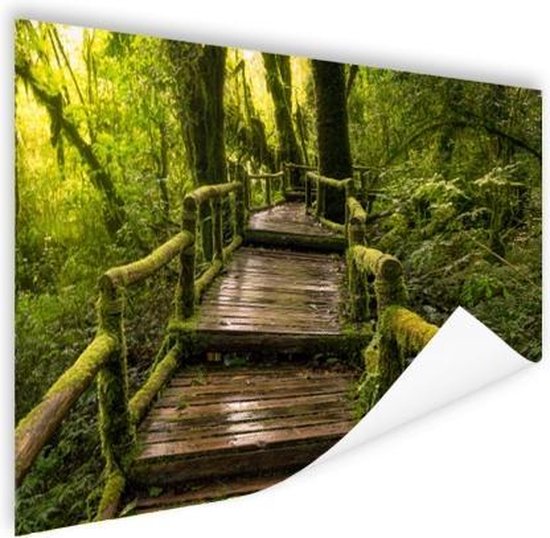 Poster Mooi regenwoud en jungle - 180x120 cm XXL