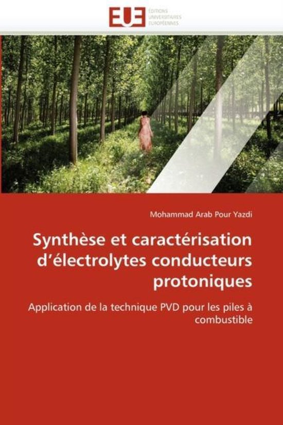 Synthèse et caractérisation d'électrolytes conducteurs protoniques