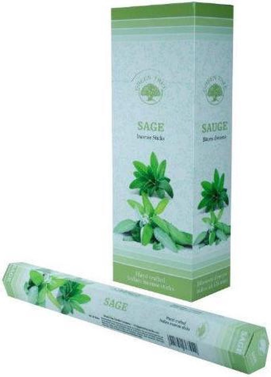 Green Tree Wierook Salie 20st.