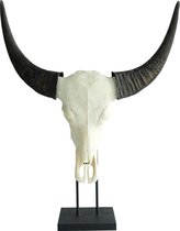 Skull op standaard - echte schedel van waterbuffel - buffelschedel