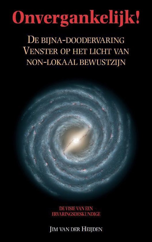 Onvergankelijk! - De bijna-doodervaring, Venster op het licht van non-lokaal bewustzijn